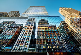 grey concrete building, skyscraper, city, reflection, worm's eye view