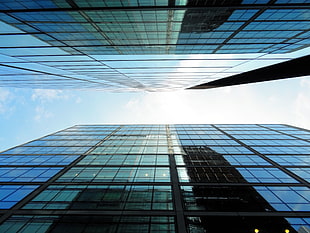 city, sky, buildings, glass