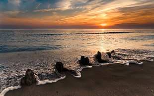 sea waves hitting rock formation near sea shore