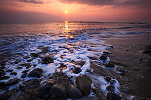 seashore during sunset photo