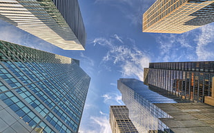 low angle photography of high rise buildings