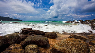 sea shore during daytime