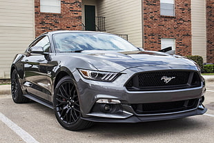 grey Ford Mustang coupe, Ford Mustang, car