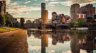 gray concrete bridge, water, building, cityscape, city