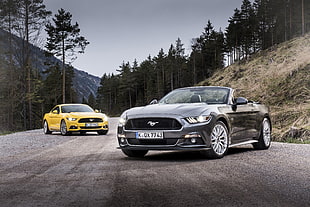 two yellow Ford Mustang GT