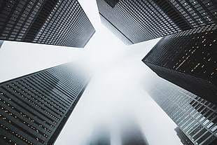 city, buildings, fog, skyscrapers