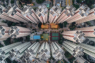 white skyscrapers, architecture, building, cityscape, skyscraper