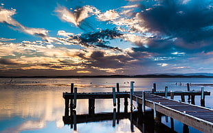 dock near body of water photo