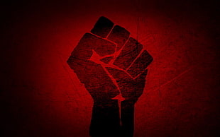 fist digital wallpaper, fists, Raised Fist