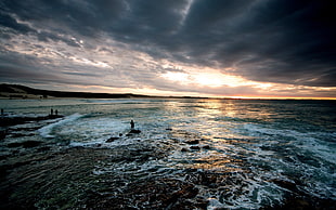 beach shore