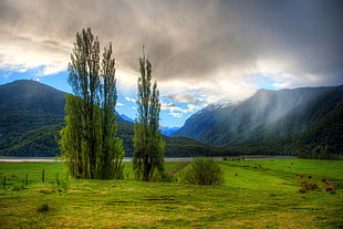 Lake Coleridge New Zealand