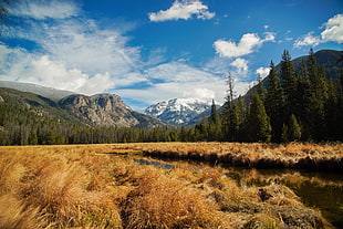 mountain range, nature, landscape, forest, mountains