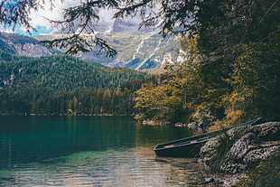 river and boat, nature, water, trees, boat