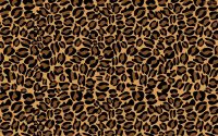 Cheetah Print Wallpaper 8