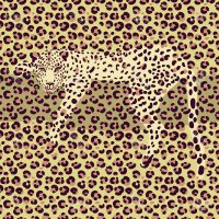 Cheetah Print Wallpaper 7