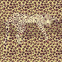 Cheetah Print Wallpaper 6