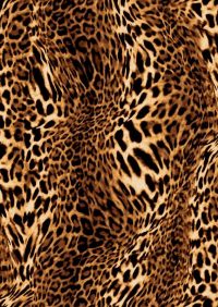 Cheetah Print Wallpaper 3