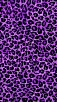 Cheetah Print Wallpaper 18