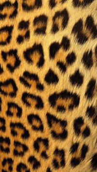 Cheetah Print Wallpaper 39