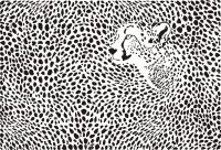 Cheetah Print Wallpaper 37