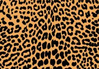 Cheetah Print Wallpaper 34