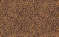 Cheetah Print Wallpaper 28