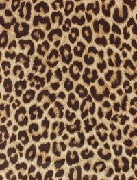 Cheetah Print Wallpaper 24