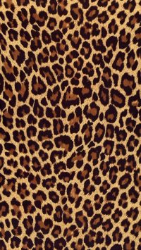 Cheetah Print Wallpaper 16