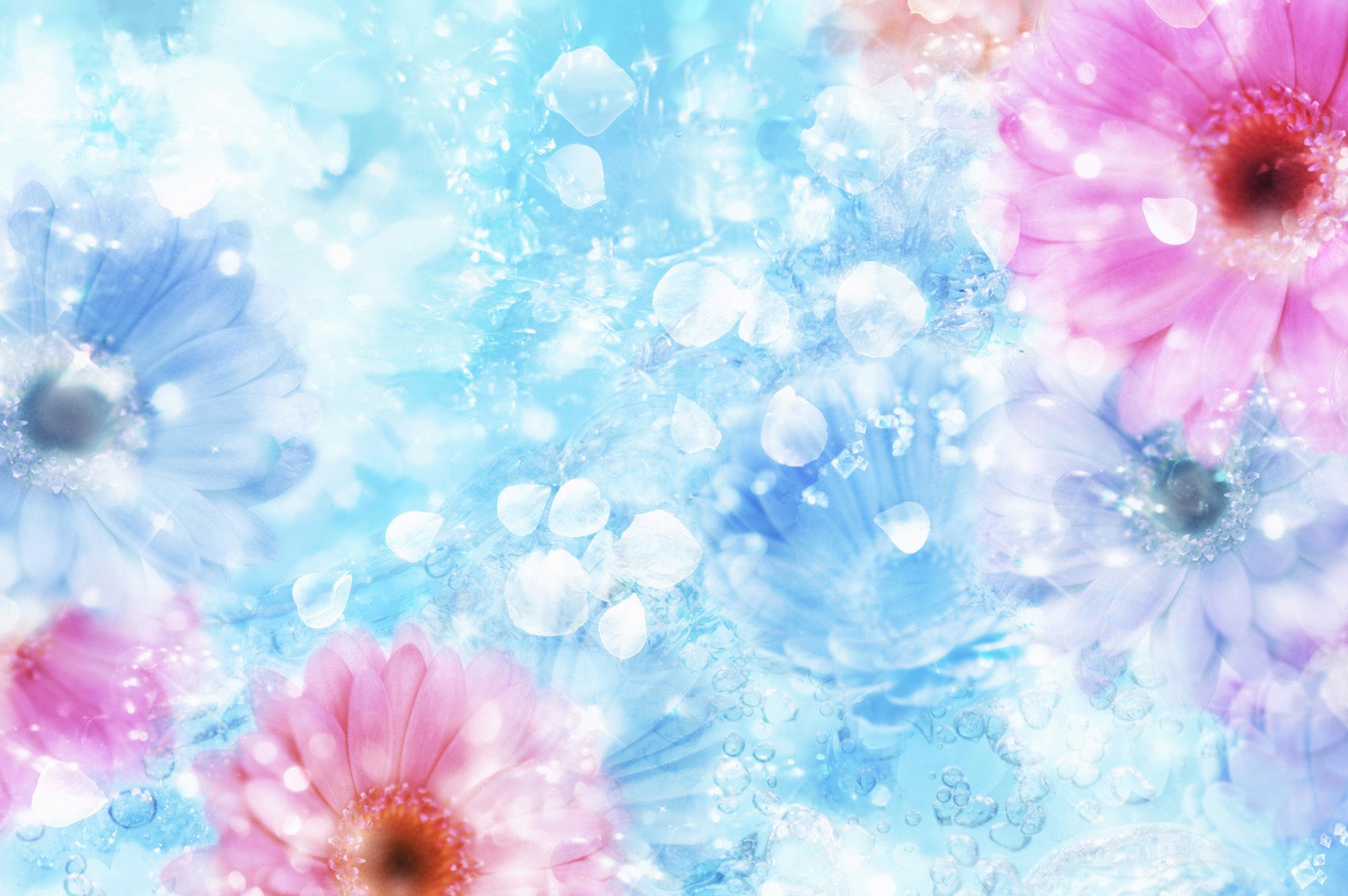 Pink Blue Floral Background - 1697x1128 - Download HD Wallpaper ...