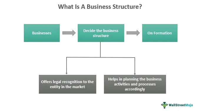 Business Structure - Meaning, Explained, Types, Examples