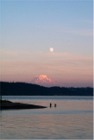 Mt. Rainier at Sunset