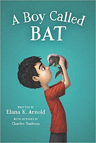 Book cover for A Boy Called Bat