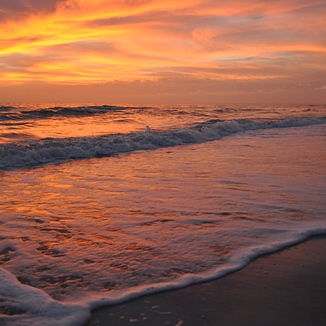 Mad Beach, Madeira Beach