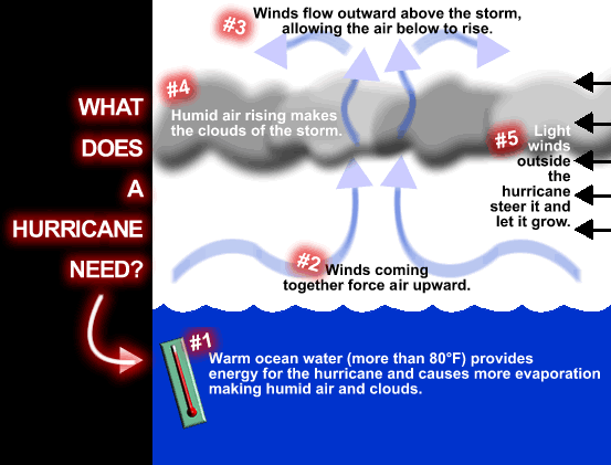 Imagicnation #07 | Engines of Catastrophe : The Science of Hurrican...