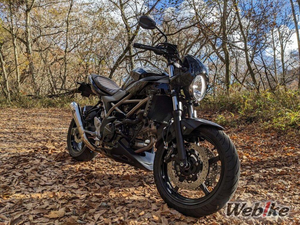 El equilibrio ideal: SUZUKI SV650 Custom