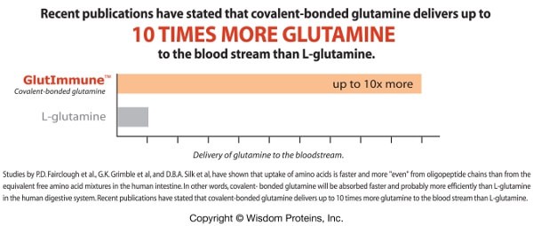 Best Glutamine Supplement