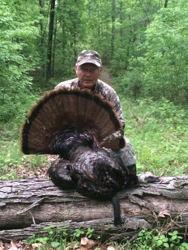 Kentucky Turkey Hunting Success - Western Kentucky Outdoors