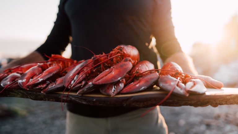 Person holding tray of lobsters