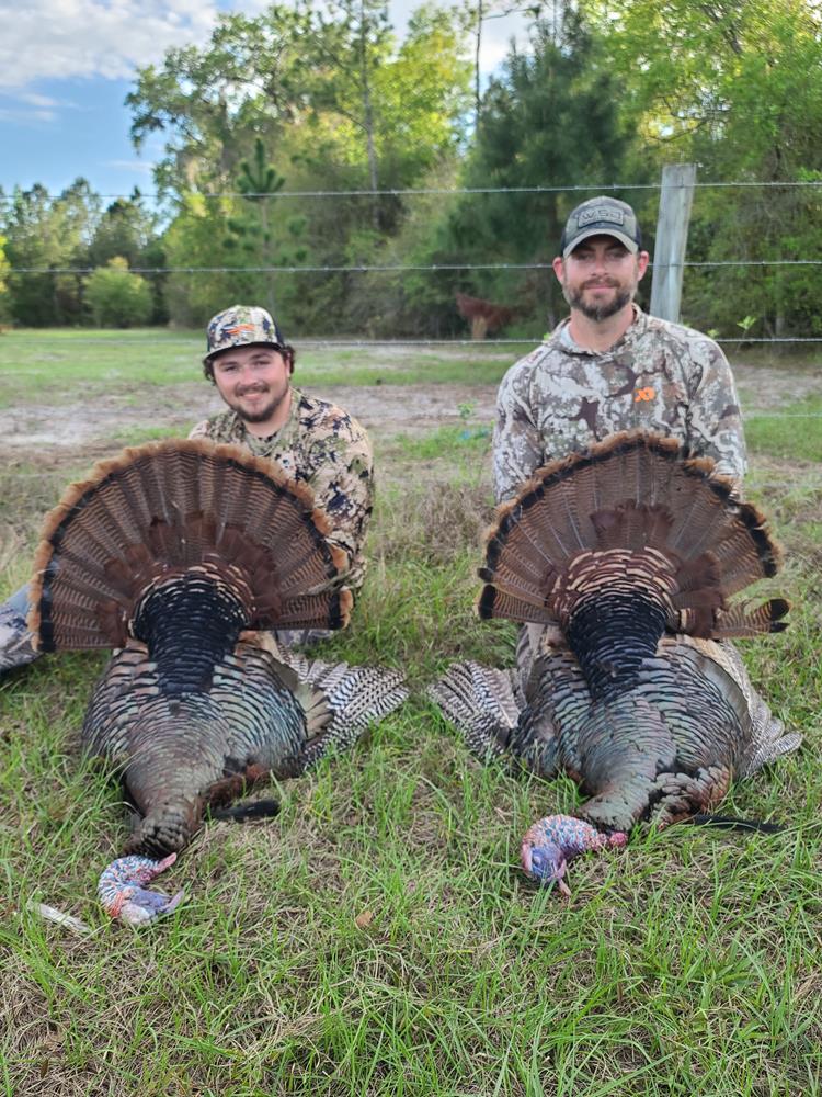 Osceola Turkey Hunts | West Shore Outfitters