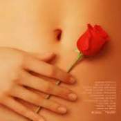 American Beauty - Free Movie Script