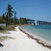 Click Link Below For Big Pine Key