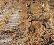 realtree-camo-pattern-realtree-ap-05