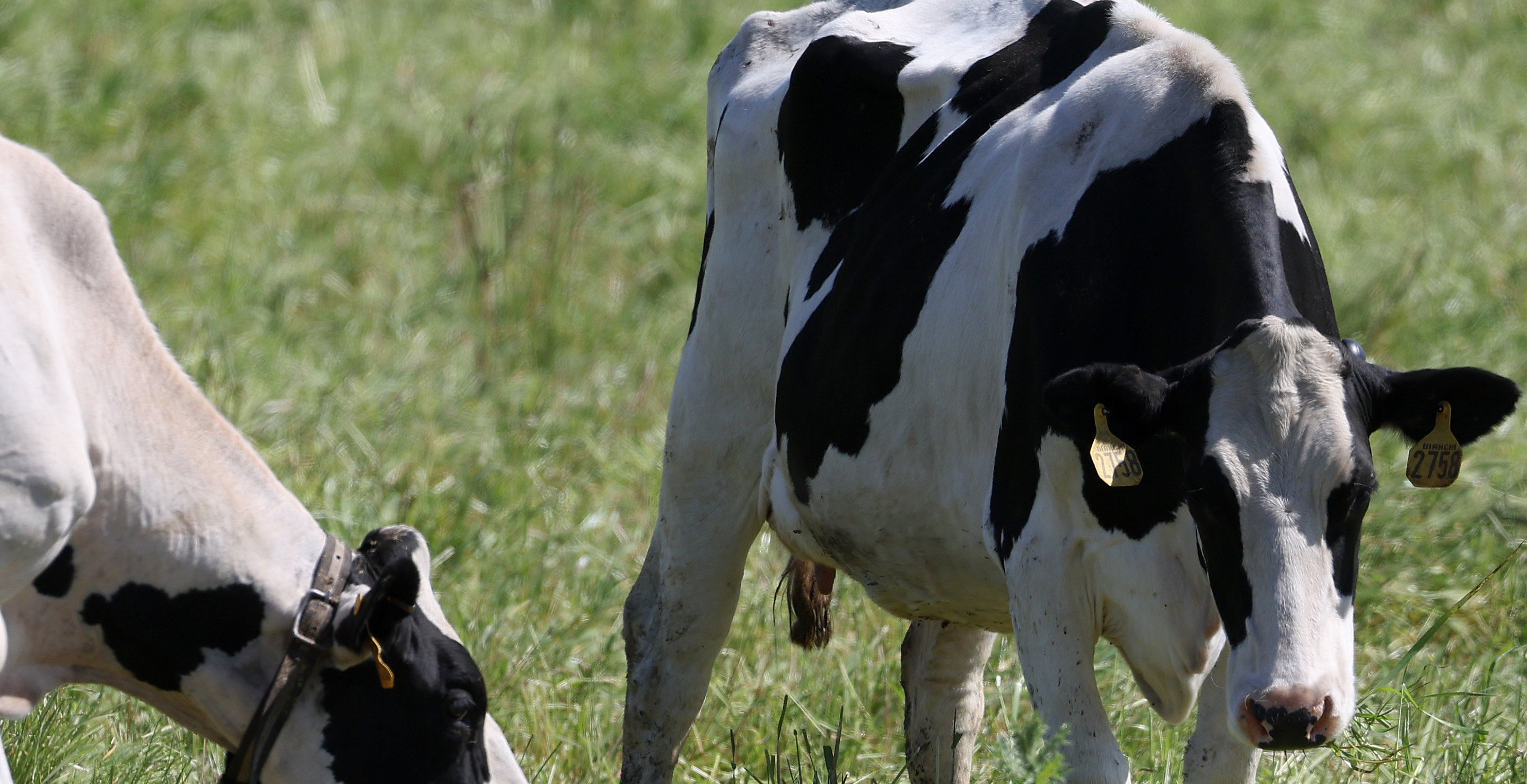 Experts Weigh In After Two Firefighters Die After Manure Fall