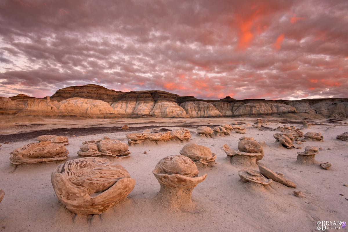 bisti badlands photo workshops