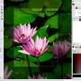 Windows 10 - Gimp for x64 Windows 2.10.38 screenshot