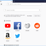 Windows 10 - Portable Firefox 130.0.1 screenshot