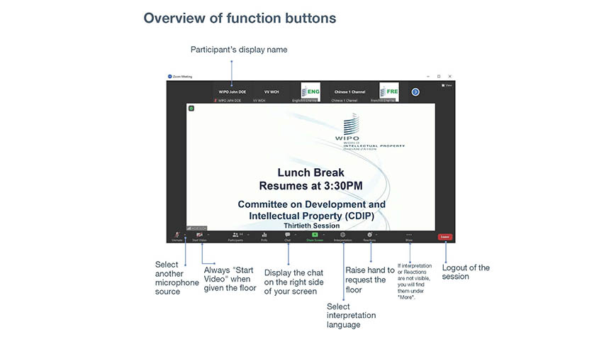 Zoom dashboard overview