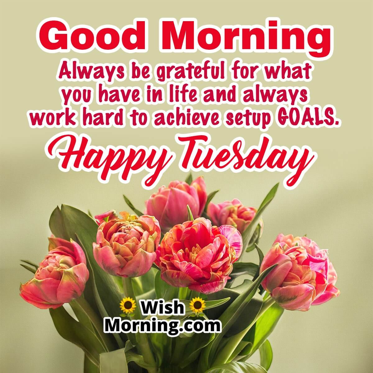 Happy Tuesday Greetings