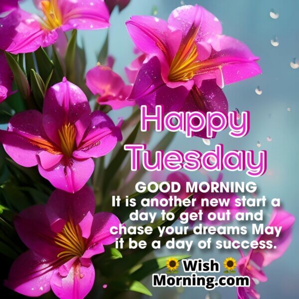 Tuesday Morning Wishes - Wish Morning