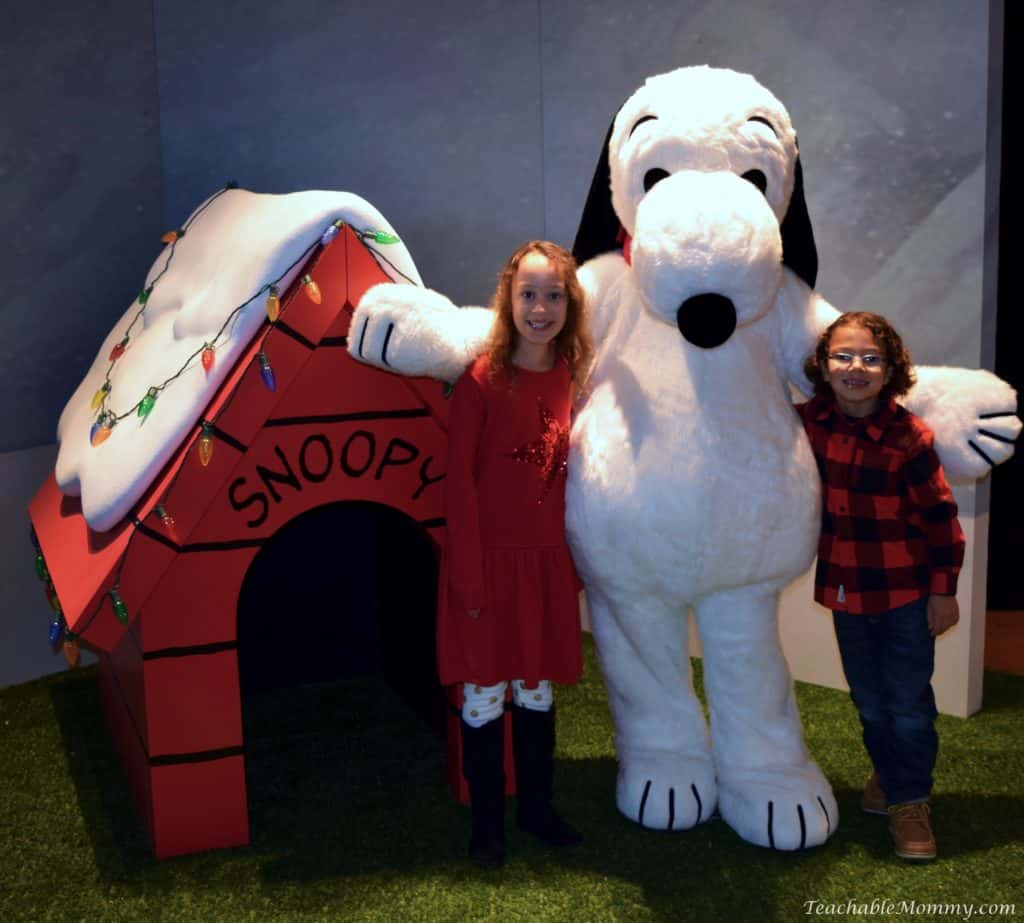 Gaylord National Christmas on the Potomac